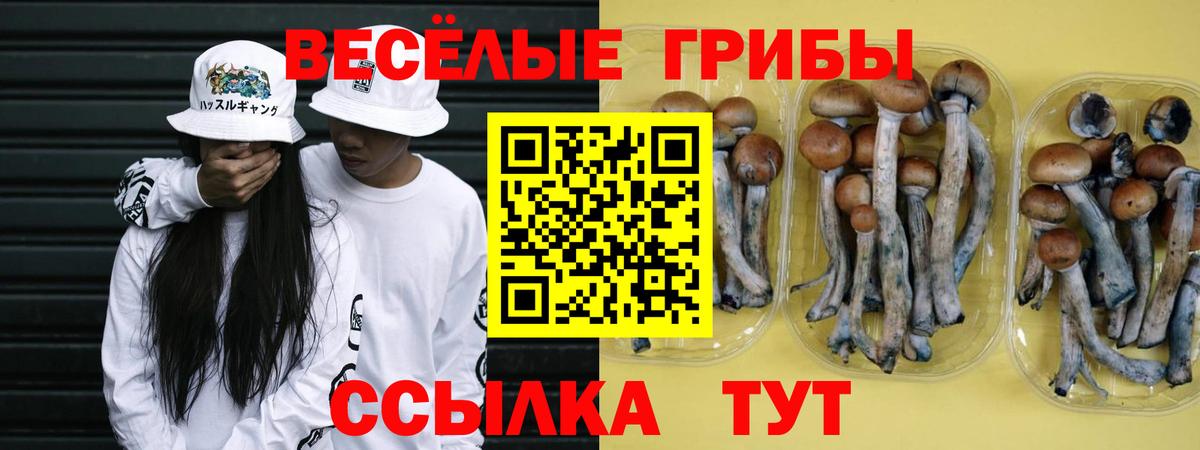 Галлюциногенные грибы ЛСД  Галлюциногенные грибы Psilocybe  Вход с VPN  Краснодар 