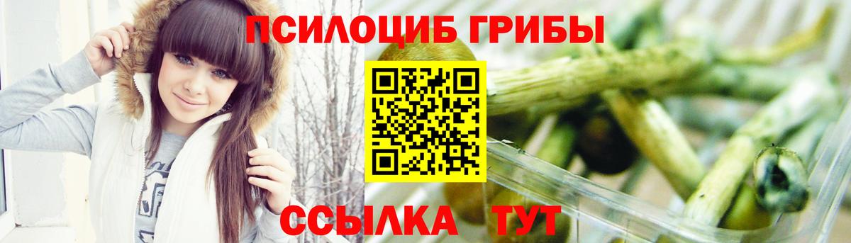 Псилоцибиновые грибы GOLDEN TEACHER Краснодар